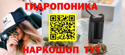 гашик Краснокаменск