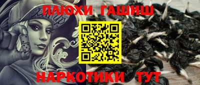 гашик Краснокаменск