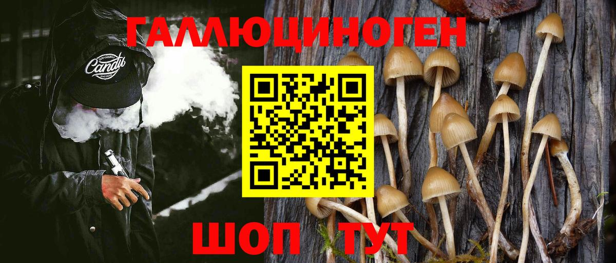 Галлюциногенные грибы MAGIC MUSHROOMS Камень-на-Оби