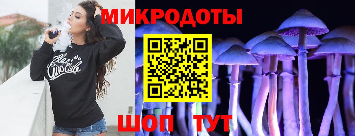 Галлюциногенные грибы GOLDEN TEACHER  Вход с VPN  Камень-на-Оби 